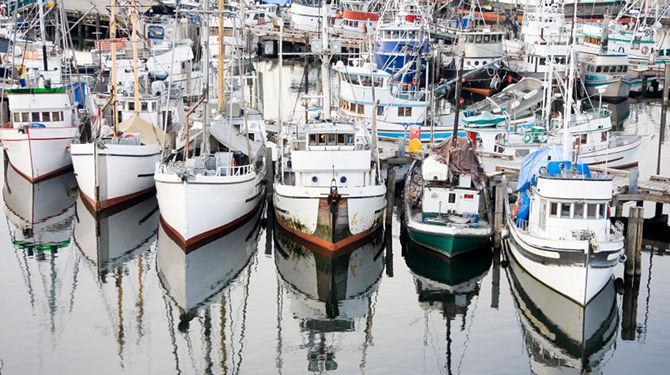 SeafoodNews.net is For Sale!